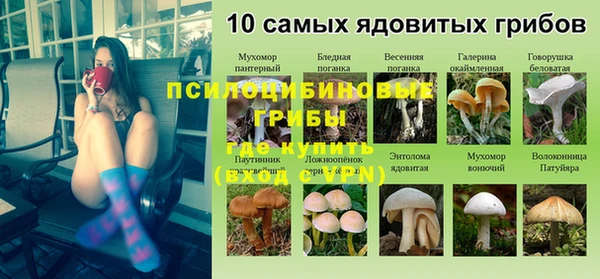 гидра Абинск