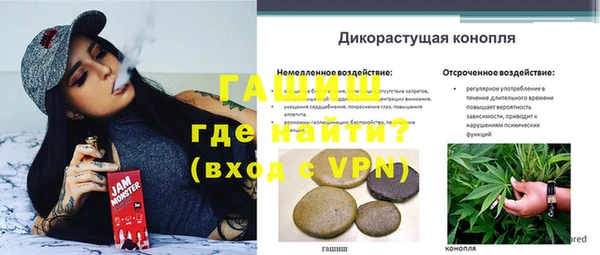 гидра Абинск